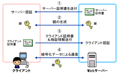 �r�r�k�̎d�g��